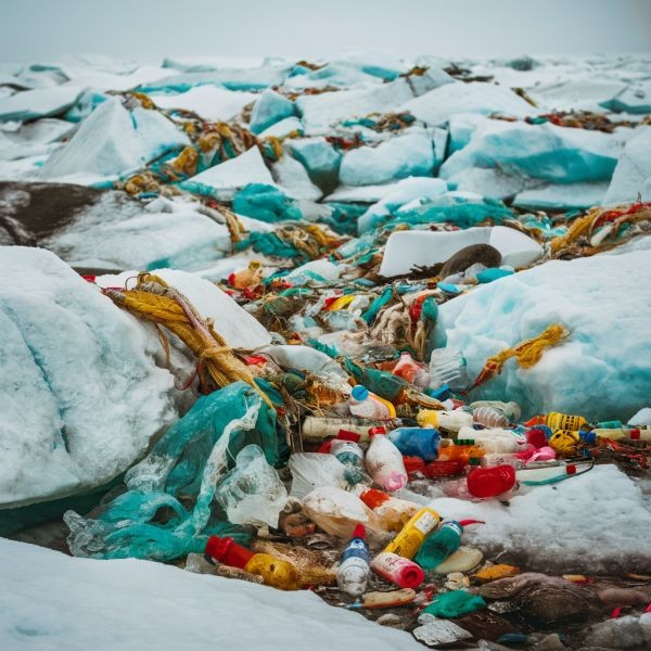 plastik zanieczyszcza arktykę