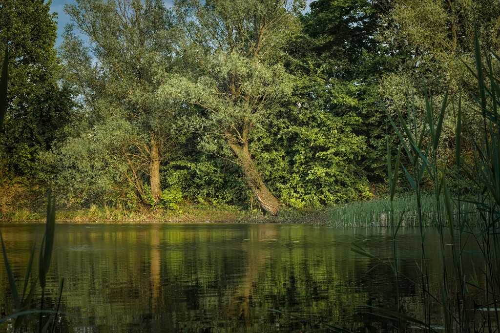 plastikowe zagrożenie