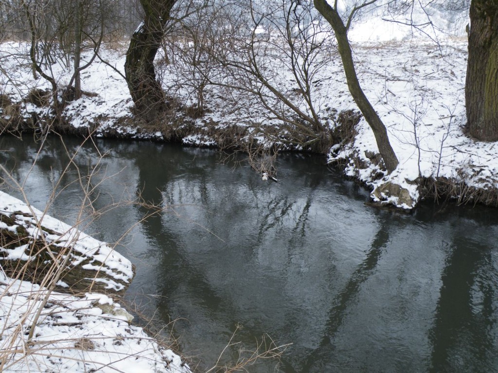 plastikowe śmieci