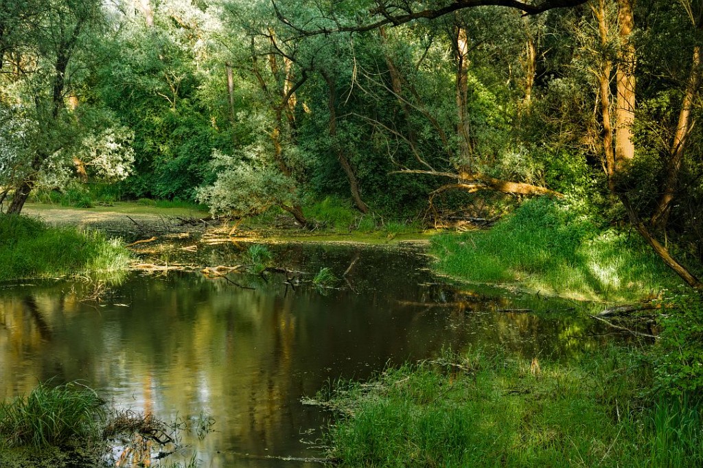 natura pochłania plastik