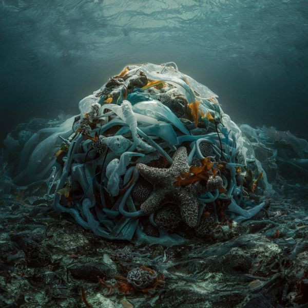 zanieczyszczenie oceanów plastikiem